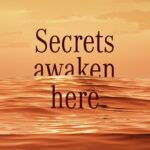 468735590 1165807961567242 3756212386501083912 n