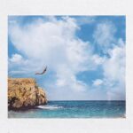 474622171 1181402160011642 457149129364086592 n