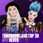 Nervo 1