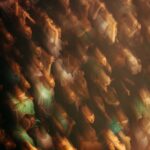 amsterdamdanceevent 463895461 1092373172253507 8899206335437456423 n