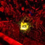 amsterdamdanceevent 467855865 1115472166610274 5492009343119175099 n 1