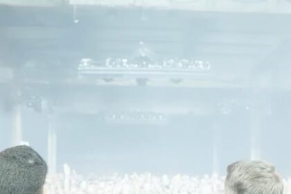 camelphatmusic 468489681 18475004365061214 7041009857329590686 n