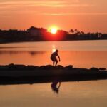 hostetur costacalida 357765776 261672126484619 4149788881442267043 n