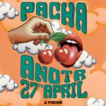 pachaofficial 472558894 18484814572014631 3426054971682862685 n