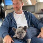 davidguetta 1736183095 3539682817204276521 195734327