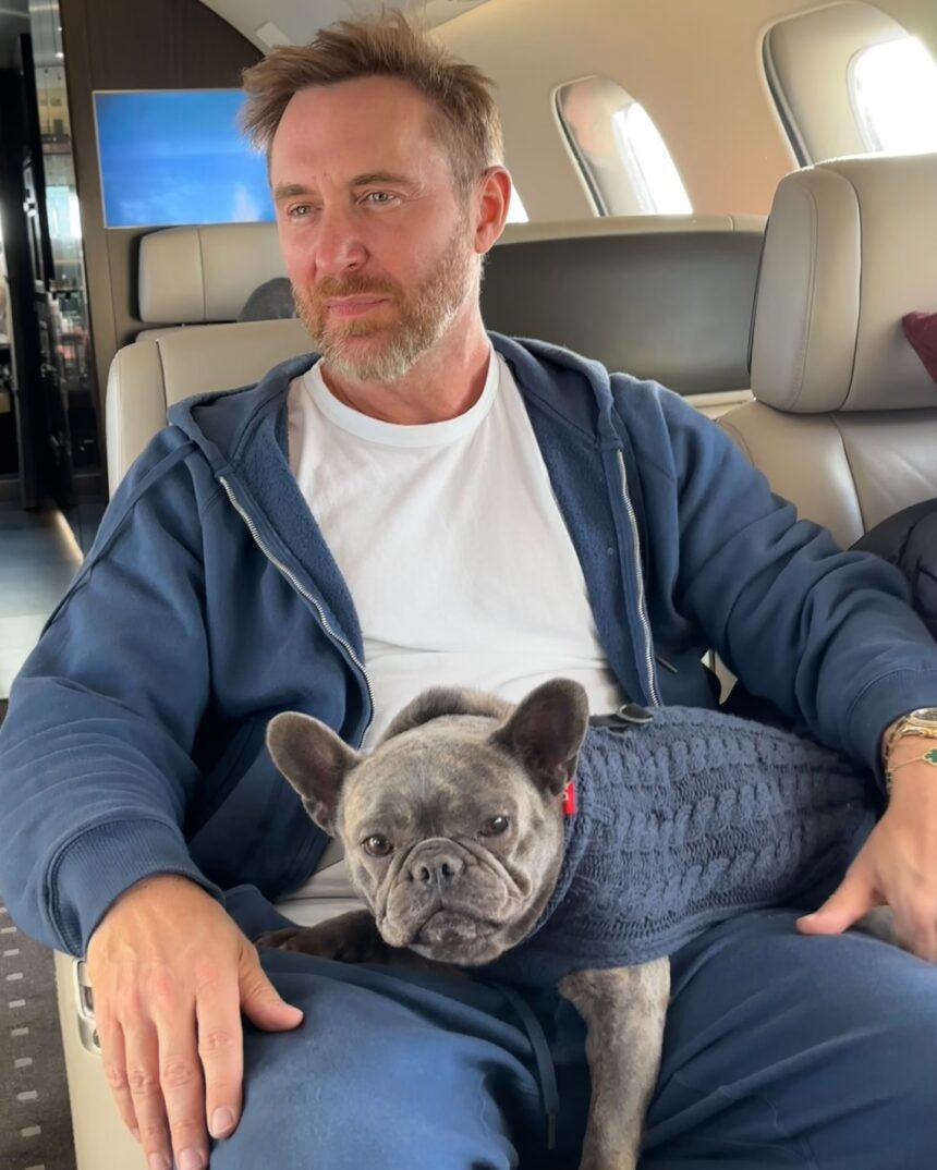 davidguetta 1736183095 3539682817204276521 195734327