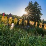 493921157 2126081594551268 8201032662301337873 n